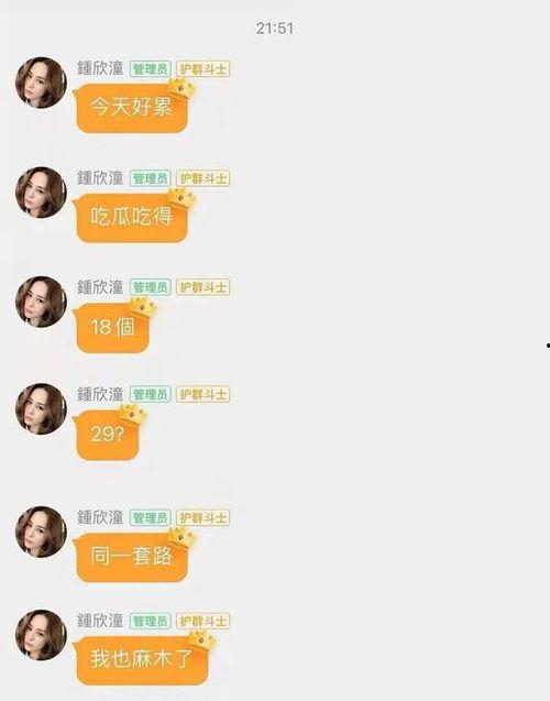 娱乐圈吃瓜文件,揭秘“吃瓜文件”背后的真相